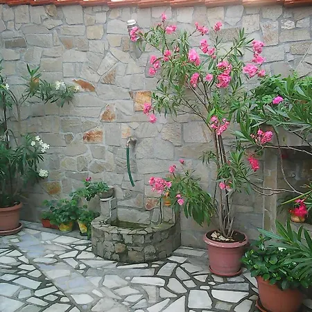 Guest house Stedi Guest